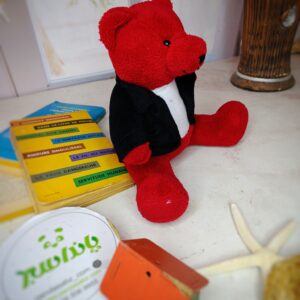 عروسک خرس ولنتاینی با کت مخمل